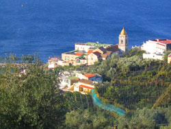 Agriturismo Sorrento La Lobra, appartamenti e camere con terrazzo e servizi privati